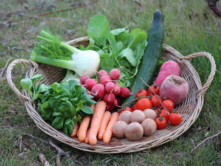 Panier crudités bio