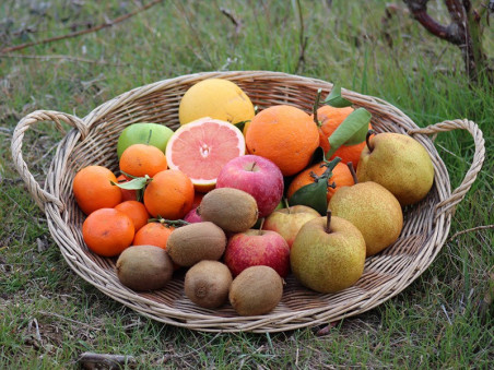 Panier fruits de saison bio