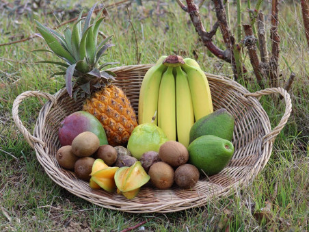 Panier fruits exotiques bio