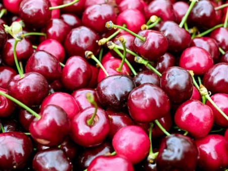 Cerises bio