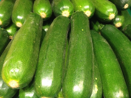 Courgette longue verte bio