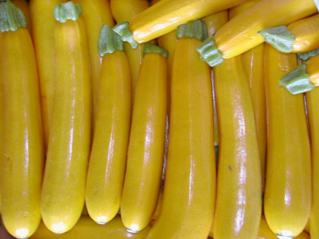 Courgette jaune bio