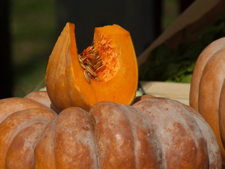 Courge muscade de provence bio