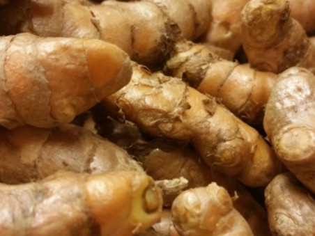 Curcuma bio