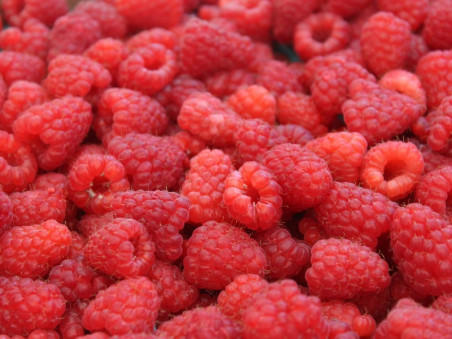 Framboises bio