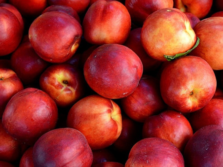 Nectarine BIO