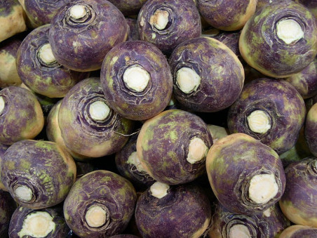 Rutabaga BIO