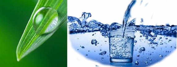 Eau potable : eau alcaline, eau hydrogénée